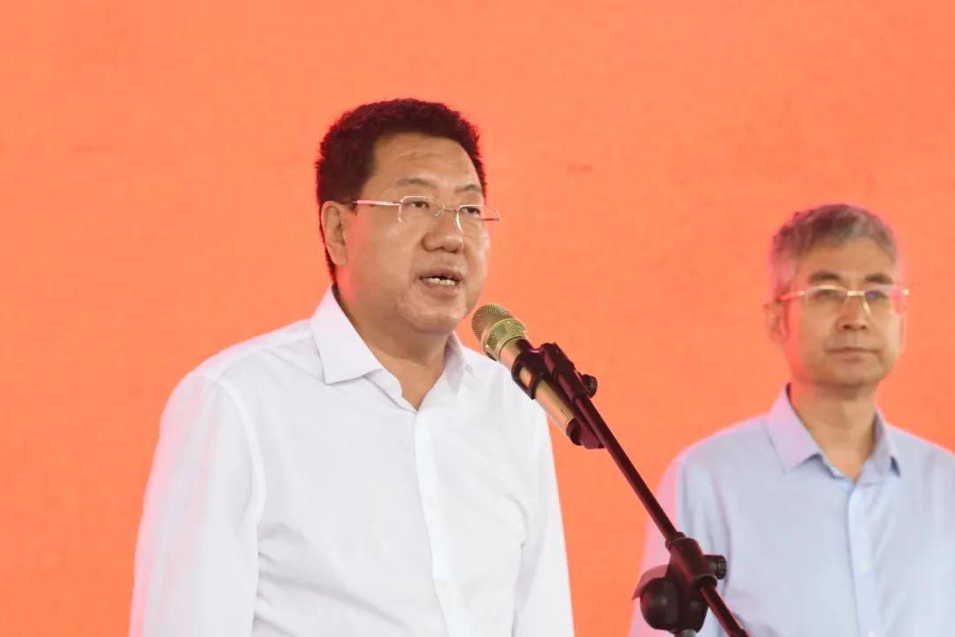 隆基绿能单日涨超6%光伏龙头的倔强底部反击战