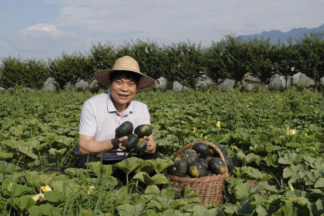 碧桂园服务授出2.25亿股购股权，以深度绑定激活组织，用长期主义穿越周期