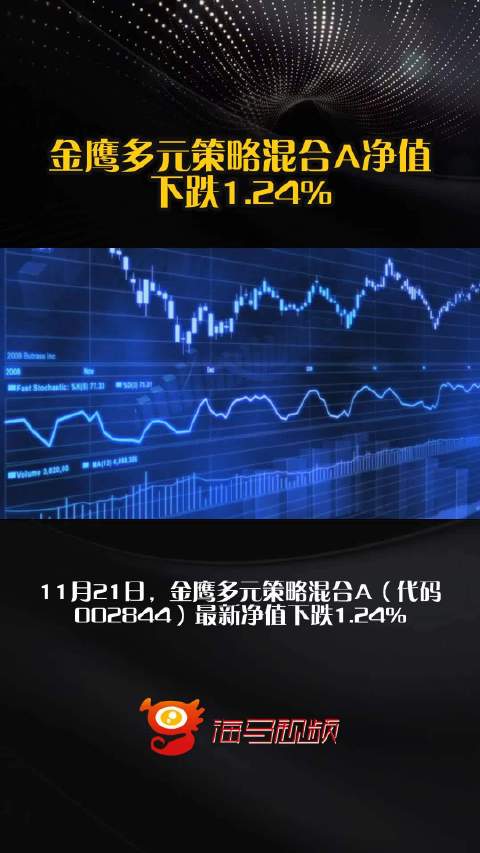 金鹰多元策略混合近三年下跌71.88%一场多元迷途的代价与基民之殇