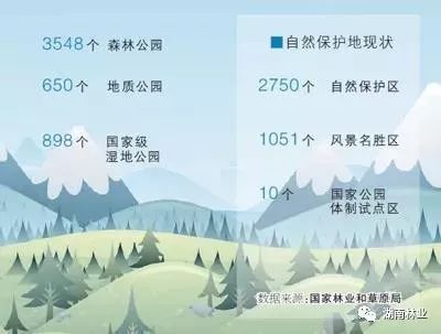 告别九龙治水，多头管理的困局与破局之道