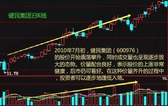 穿越蓄力期，行业将进入放量提速期，一场关于规模与生态的决胜战