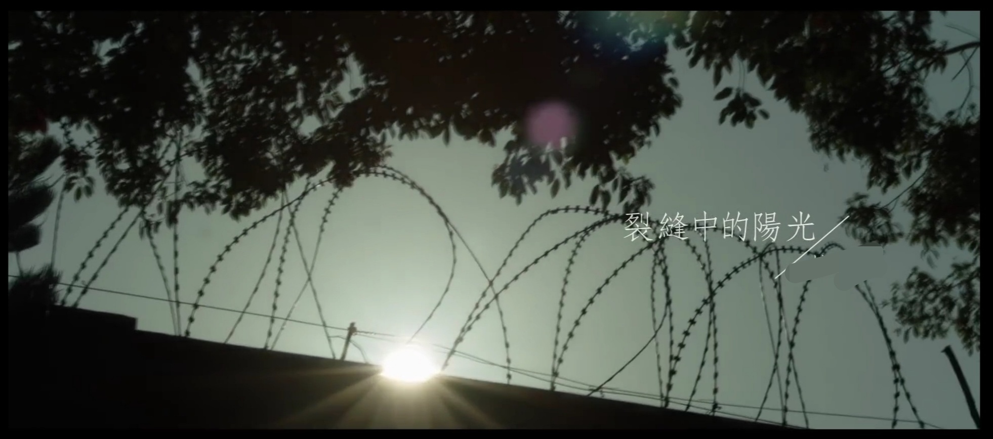 缝隙里的光