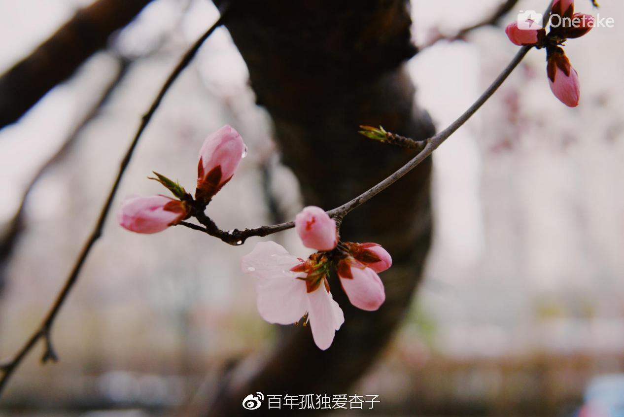 静待政策发力,在窗口期的沉寂中嗅到春天的气息 静待政策发力,在窗口期的沉寂中嗅到春天的气息