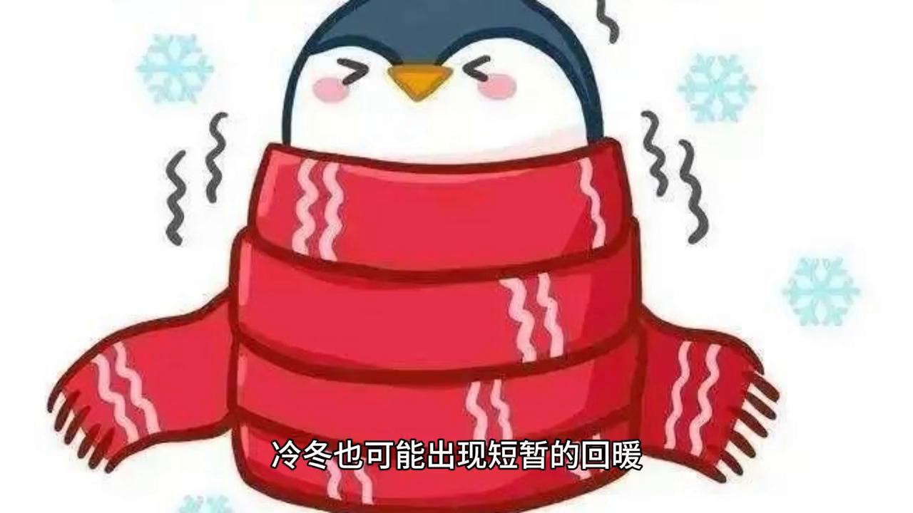 暖冬里的冷思考，因冬季供应乐观，我们更应关注什么？