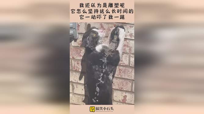 二十年一觉，时间如何雕刻了我们