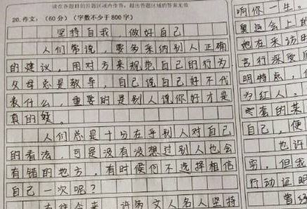 好，这是根据你的要求撰写的文章