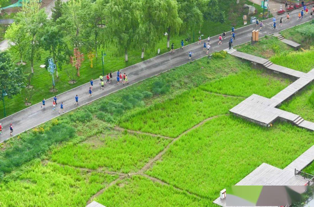 当20万双脚印重叠，我们看见了什么