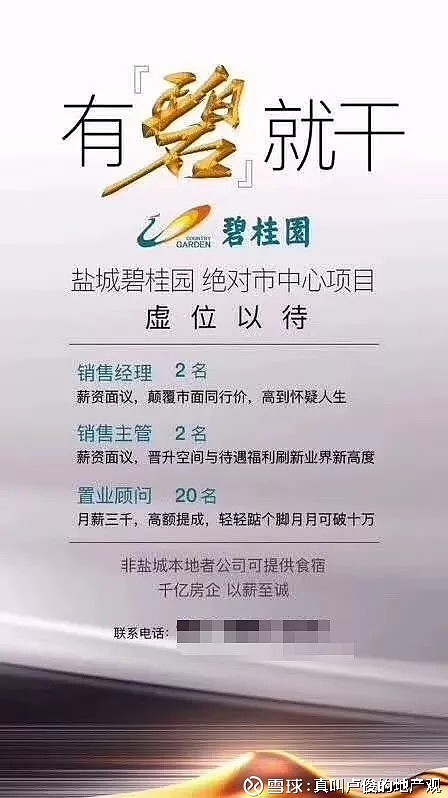 碧桂园，一部高周转时代的浮沉启示录