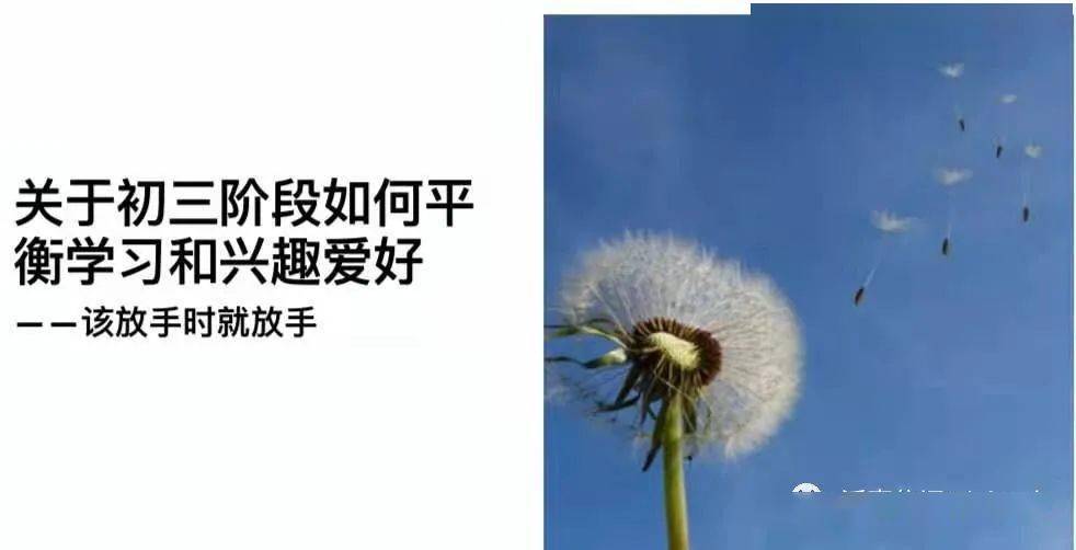 在人海与代码之间，重拾找到的艺术