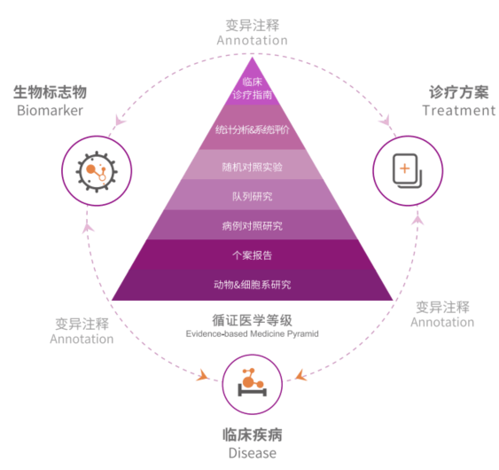 超越症状,治疗学的未来在于解码生命的系统复杂性 超越症状,治疗学的未来在于解码生命的系统复杂性