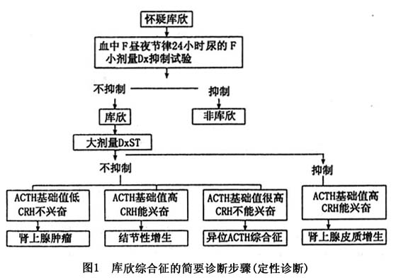 库欣综合征疗法 hopeful，Corcept医疗盘中异动，背后逻辑与市场展望