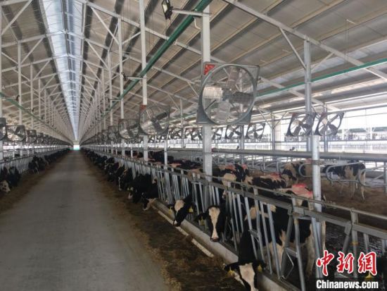 多路资金加快落地，精准滴灌实体经济，筑牢经济回升向好基石