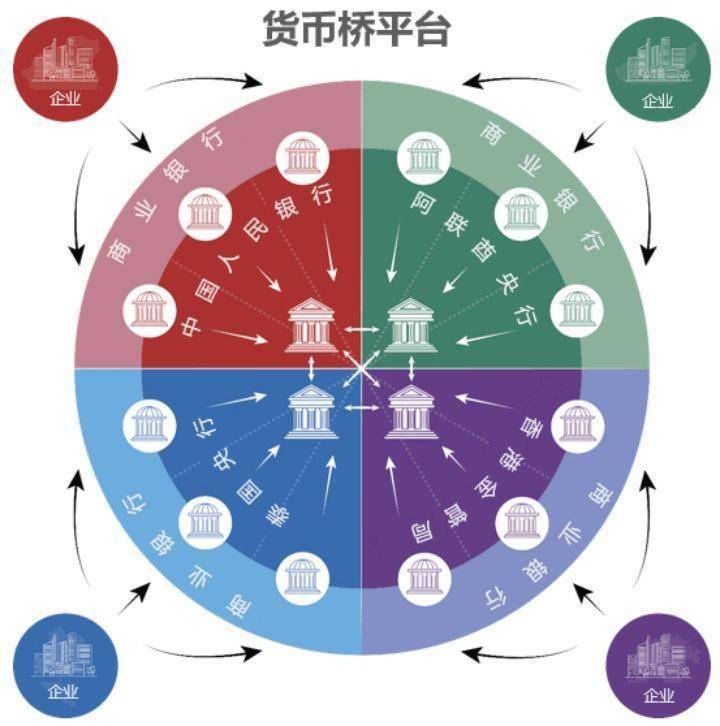 货币桥，连接全球经济的新纽带