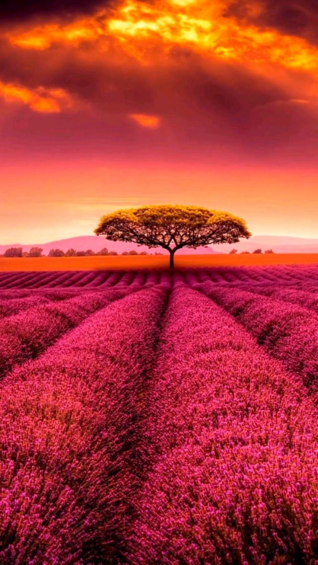 行至水穷处