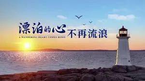 Company，在拥抱与孤独之间，我们共同的航行