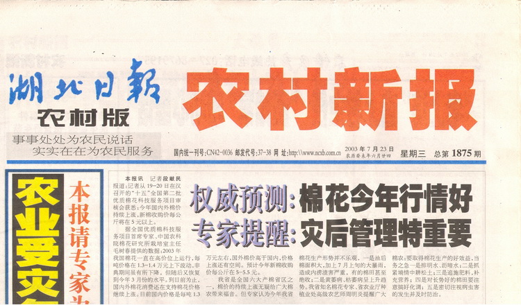 11月6日软商品日报，白糖甜蜜中藏隐忧，棉花寒风中待春风