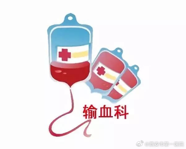 从输血到造血的催化剂，让补贴的成效照进未来