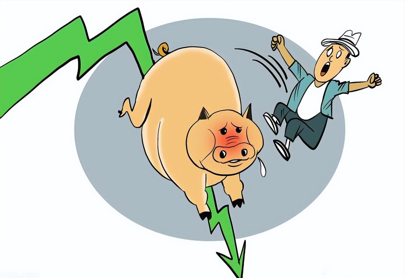 1.35美元!一次6.25%的大幅下挫背后,恐慌还是机会? 1.35美元!一次6.25%的大幅下挫背后,恐慌还是机会?