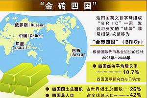 关税大棒下的新秩序,金砖国家如何重塑全球经济版图 关税大棒下的新秩序,金砖国家如何重塑全球经济版图