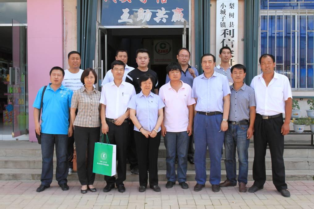 当荣耀成为枷锁，被ST标记后的企业生存启示录