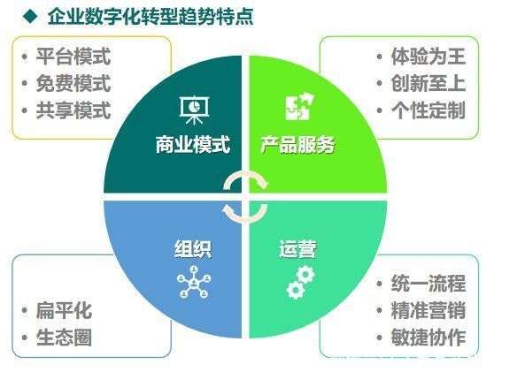 破壁·融合·进化，全域数字化转型的三大趋势与无限可能