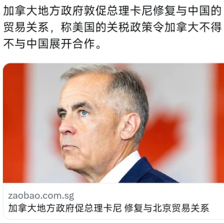 北美寒流中的通话，卡尼与辛鲍姆共商破局，邻国友谊能否融化关税坚冰？