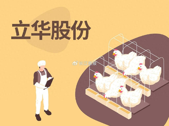立华股份，一只鸡的坚韧，一个人的长跑