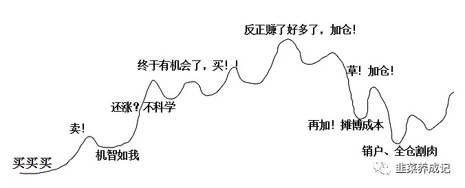 短期承压不改长期逻辑，在波动中锚定价值的方向