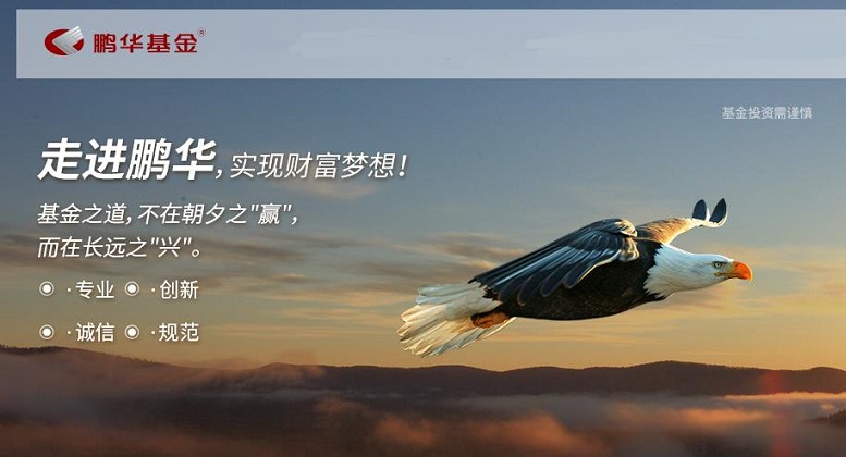 鹏华基金，在长期主义的土壤里，做时间的朋友