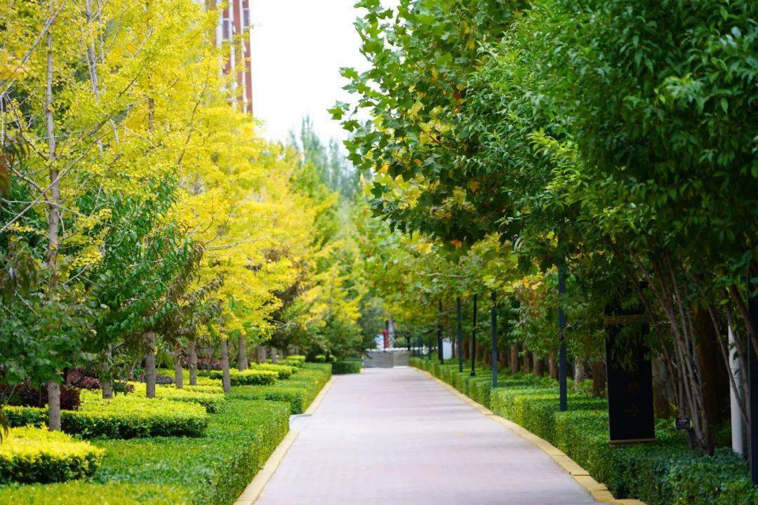近处无风景 近处无风景