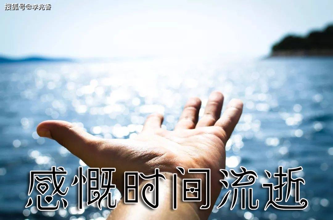 在摇晃的世界里，做自己的定盘星
