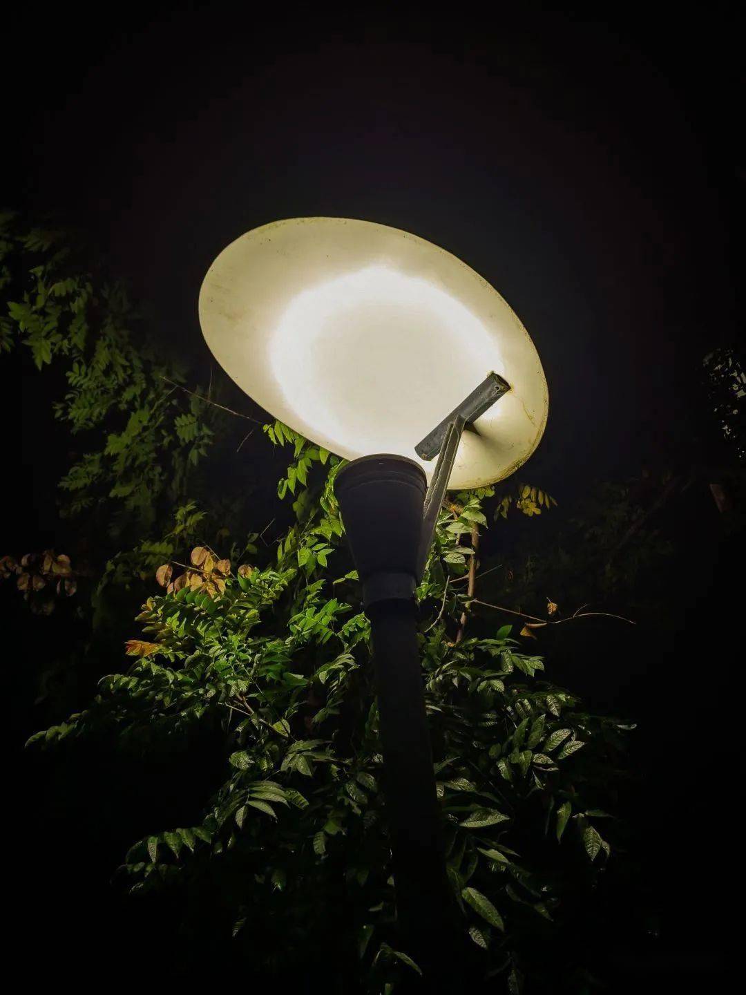 退到灯光之外