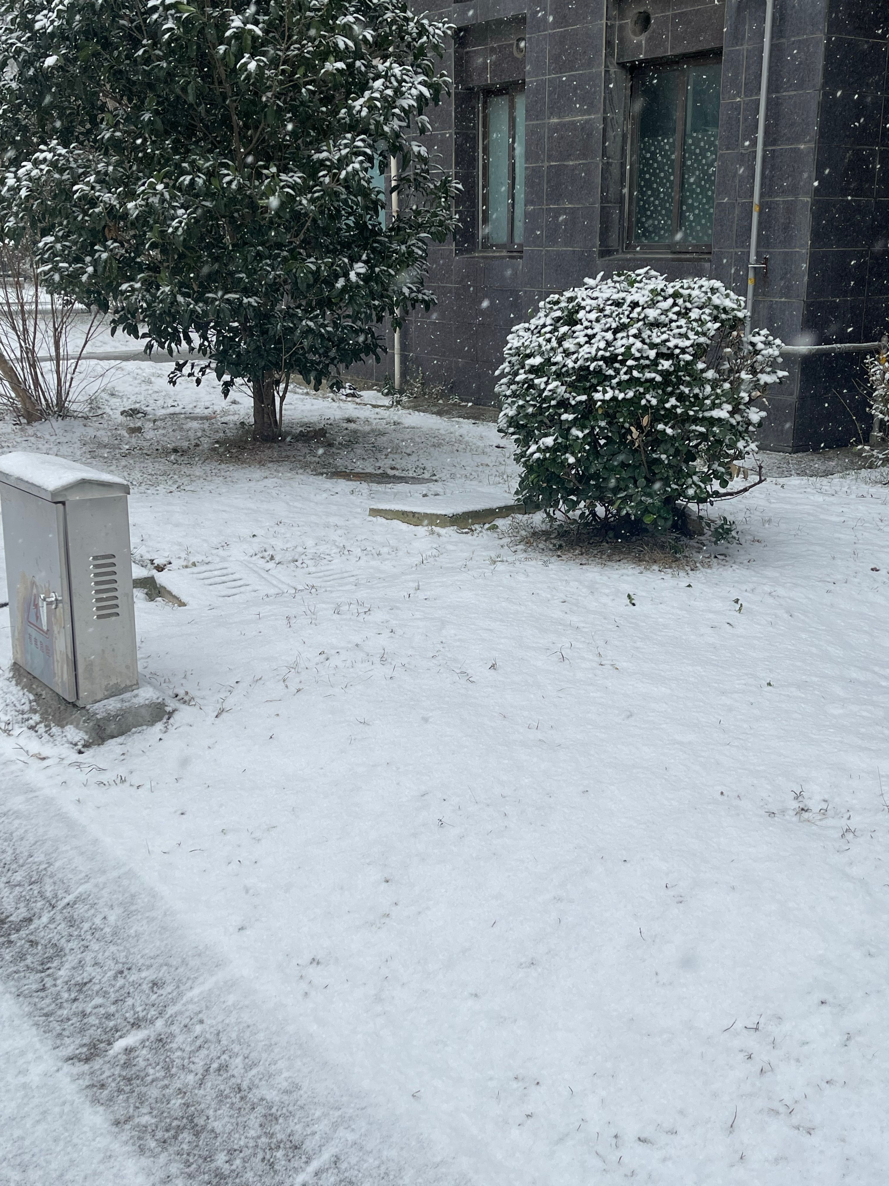 突然，雪就下了