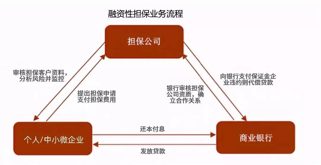 国内贸易信用保险共保体成立，以金融合力畅通经济内循环