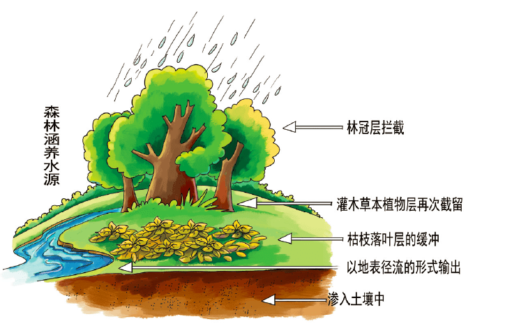 从独木到森林，构建创新应用生态的活水之道