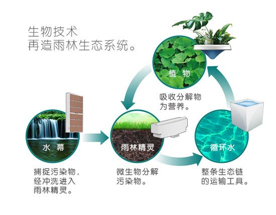 从独木到森林，构建创新应用生态的活水之道