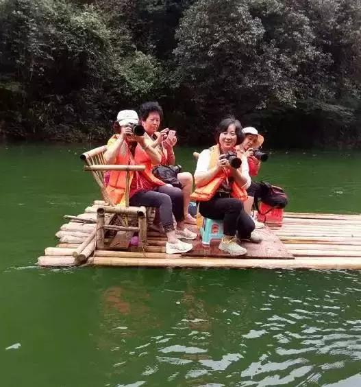 在喧嚣中守住那份稳，论业绩平稳增长的长期价值