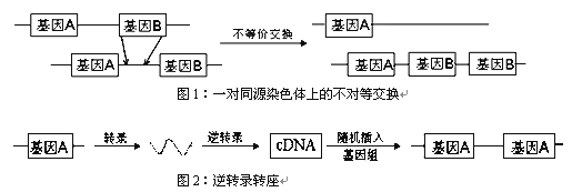 同源异流，传动系统机加工底层技术基因的相似性